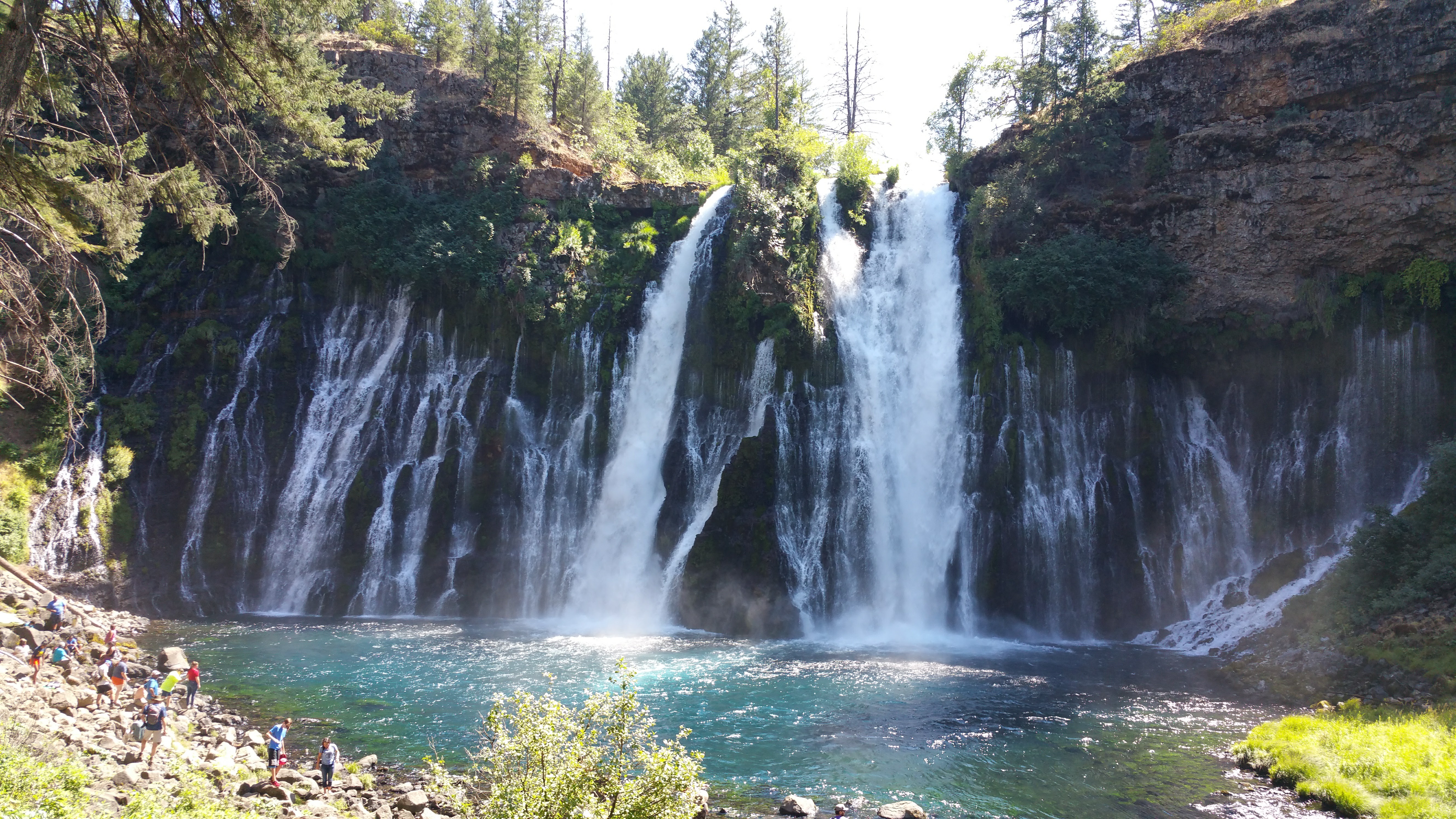 Shasta 20170725_150939